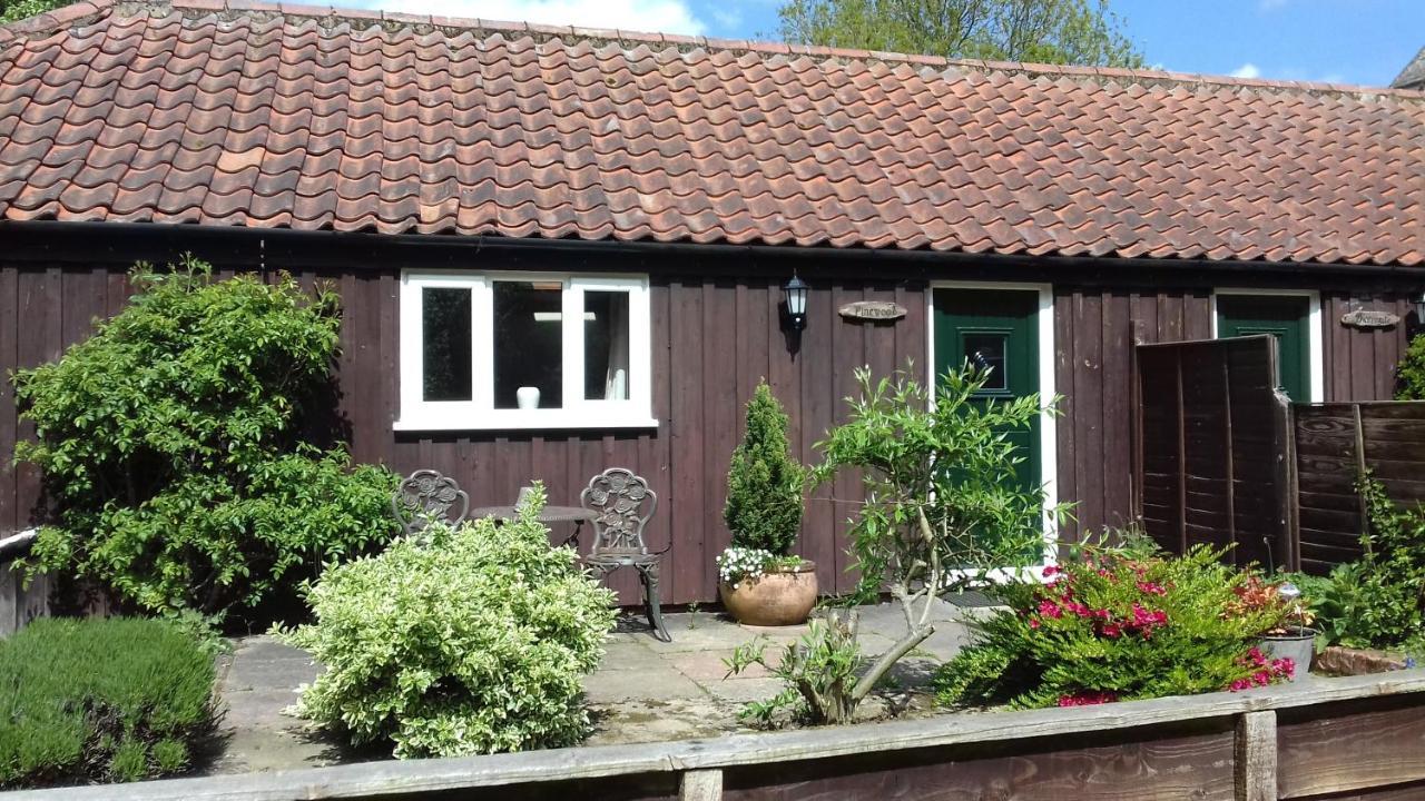 Pinewood Cottage Thorpe Market Екстериор снимка