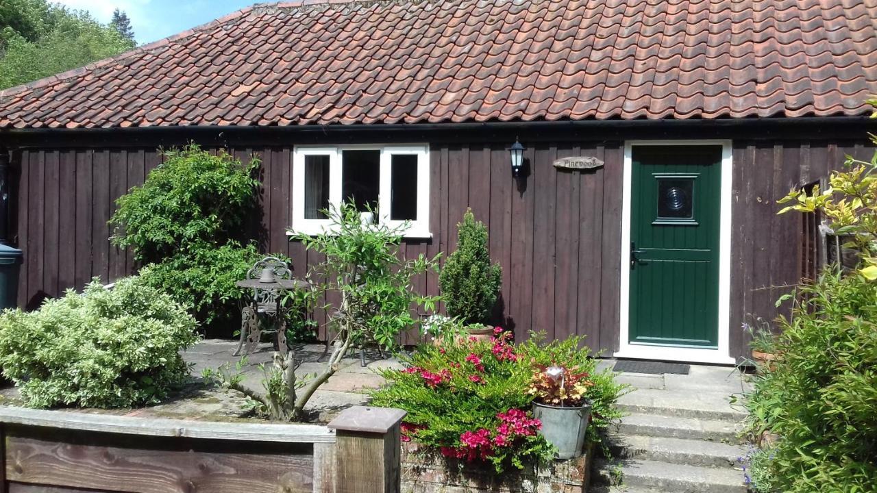 Pinewood Cottage Thorpe Market Екстериор снимка